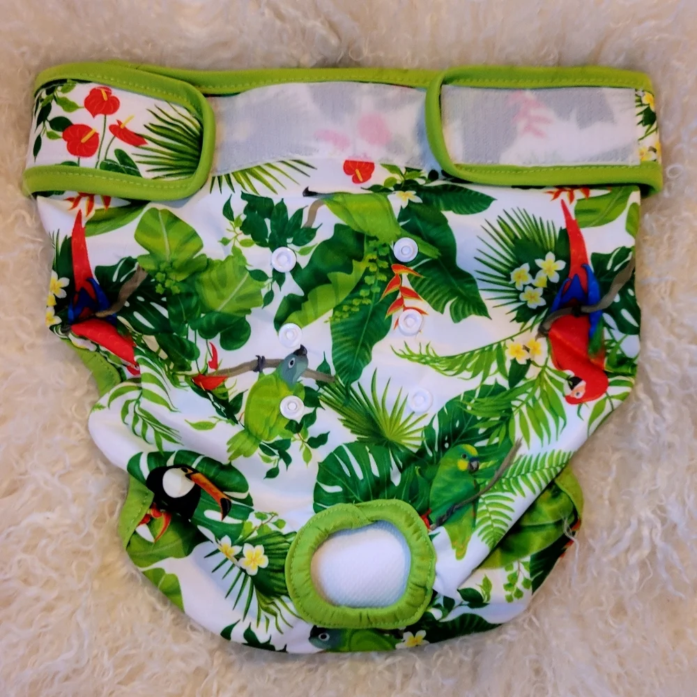 Host Pick 😀 Wegneeco Male Female  Dog Diaper Shield Shorts Washable - Picture 2 of 3